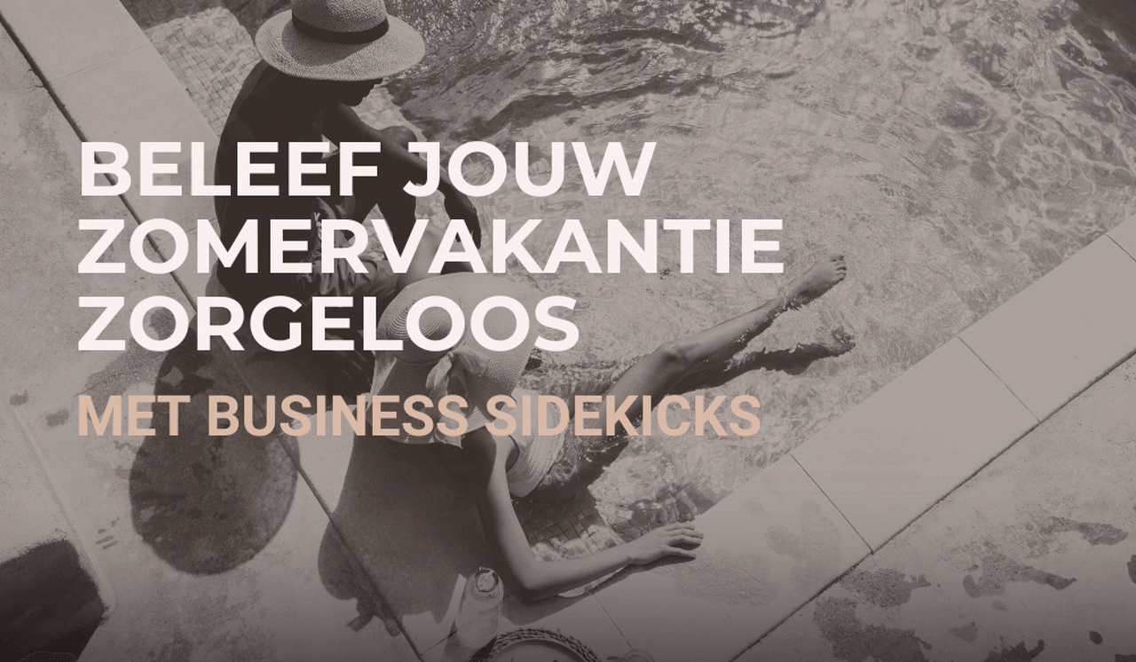 Business Sidekicks Overzicht